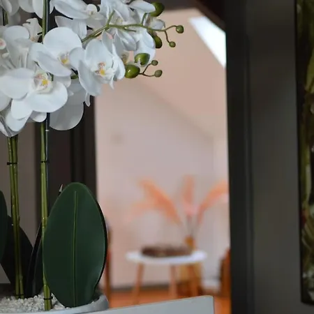 Appartamento Loft Gaia